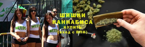 винт Медвежьегорск