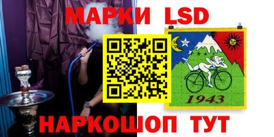 гашик Кунгур