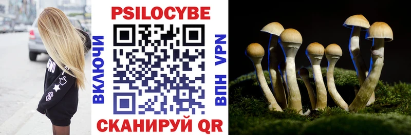 Псилоцибиновые грибы GOLDEN TEACHER  это наркотические препараты  Усть-Кут  купить  