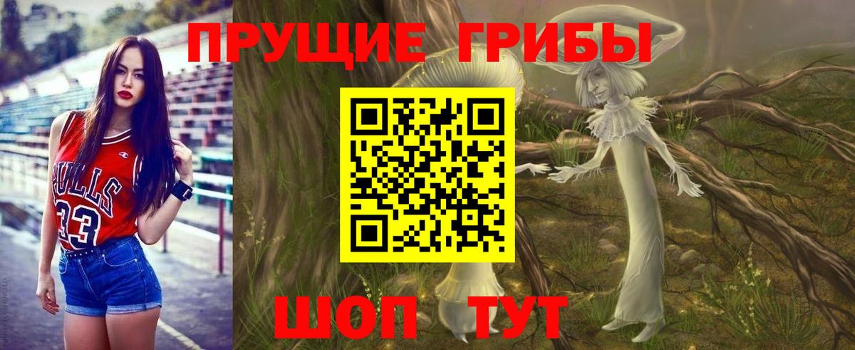 Усть-Кут  Псилоцибиновые грибы прущие грибы  Вход с VPN 